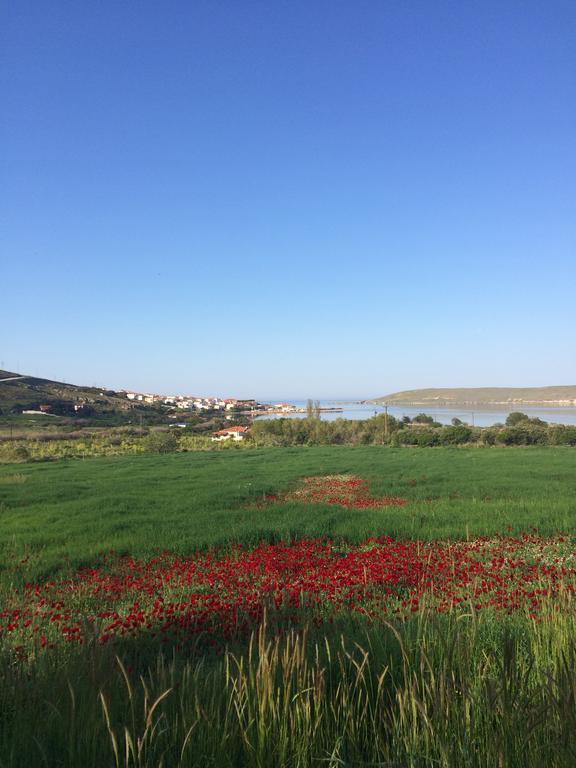 Lesvos Tower House Komninos Sigrion Luaran gambar